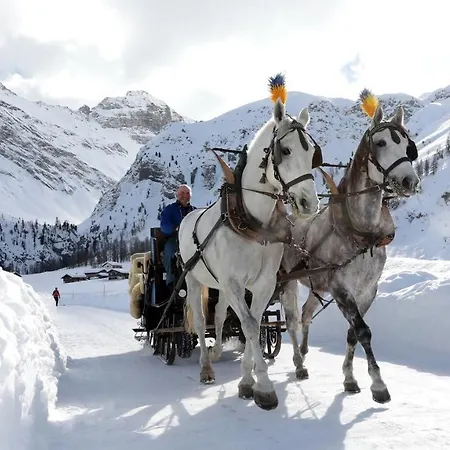 Frieden Davos